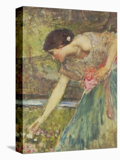 Gathering Roses-John William Waterhouse-Premier Image Canvas