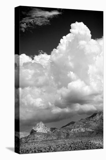 Gathering Summer Storm BW-Douglas Taylor-Premier Image Canvas