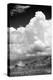 Gathering Summer Storm BW-Douglas Taylor-Premier Image Canvas