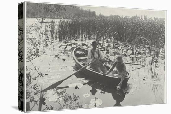 Gathering Water-Lilies (Collection of Water Lilies)-Peter Henry Emerson-Premier Image Canvas
