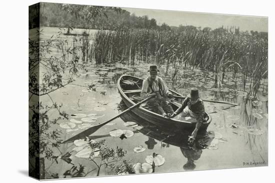 Gathering Water Lillies-Emerson Peter Henry-Premier Image Canvas