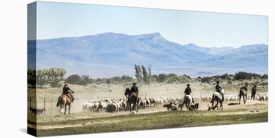 Gauchos Riding Horses to Round Up Sheep, El Chalten, Patagonia, Argentina, South America-Matthew Williams-Ellis-Premier Image Canvas