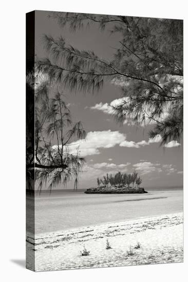 Gaulding Cay Island BW-Larry Malvin-Premier Image Canvas