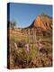 Gayfeather, Palo Duro Canyon State Park, Texas, USA-Larry Ditto-Premier Image Canvas