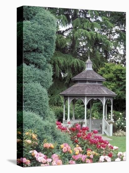 Gazebo and Roses in Bloom at the Woodland Park Zoo Rose Garden, Washington, USA-null-Premier Image Canvas