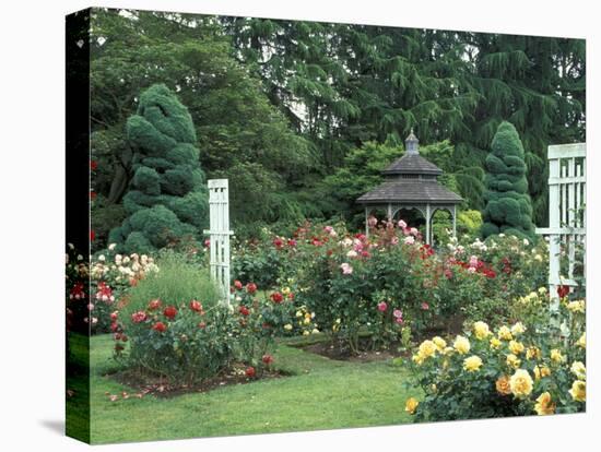 Gazebo and Roses in Bloom at the Woodland Park Zoo Rose Garden, Washington, USA-null-Premier Image Canvas