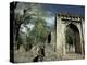 Gedi Ruins, Malindi, Kenya, East Africa, Africa-Upperhall-Premier Image Canvas