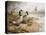 Geese: Canada-Carl Donner-Premier Image Canvas