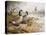 Geese: Canada-Carl Donner-Premier Image Canvas