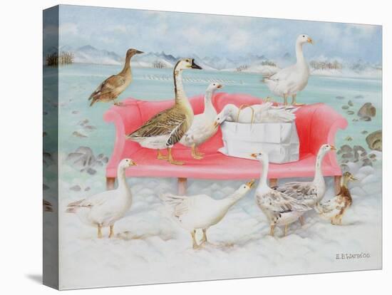 Geese on Pink Sofa, 2000-E.B. Watts-Premier Image Canvas