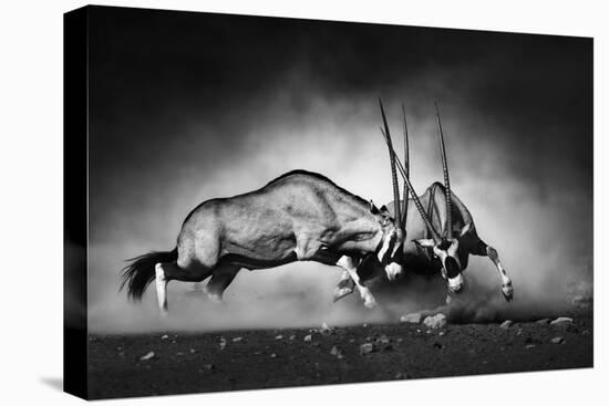 Gemsbok Dual (Artistic Processing)-Johan Swanepoel-Premier Image Canvas