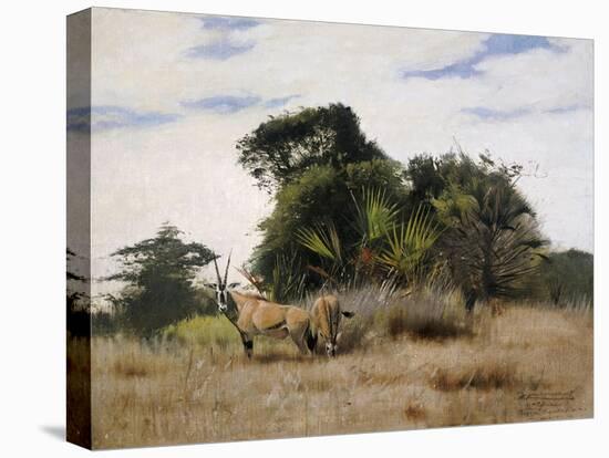 Gemsbok Oryx, 1891-Wilhelm Kuhnert-Premier Image Canvas