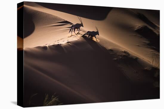 Gemsbok (Oryx Gazella) Two Walking across Sand Dunes, Aerial View. Namibia-Wim van den Heever-Premier Image Canvas