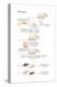 Gene Knockout. Recombinant Dna Technology, Genetic Engineering, Heredity, Genetics-Encyclopaedia Britannica-Stretched Canvas