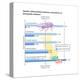 Genetic Differentiation Between Populations of Drosophila Willistoni. Evolution-Encyclopaedia Britannica-Stretched Canvas