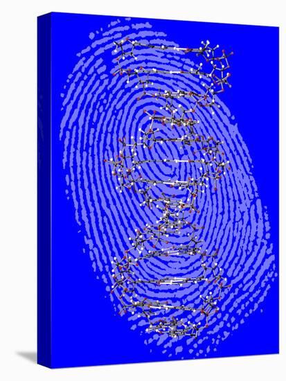 Genetic Fingerprint-Victor De Schwanberg-Premier Image Canvas