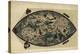 Genoese World Map, 1450-Library of Congress-Premier Image Canvas