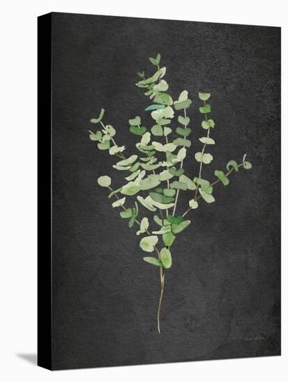 Gentle Eucalyptus on Black-Mercedes Lopez Charro-Stretched Canvas