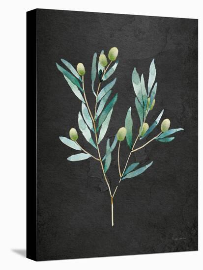 Gentle Olive Branch on Black-Mercedes Lopez Charro-Stretched Canvas