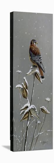 Gentle Snowfall - Kestrel-Wilhelm Goebel-Premier Image Canvas