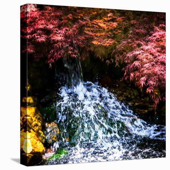 Gentle Waterfall I-Alan Hausenflock-Stretched Canvas