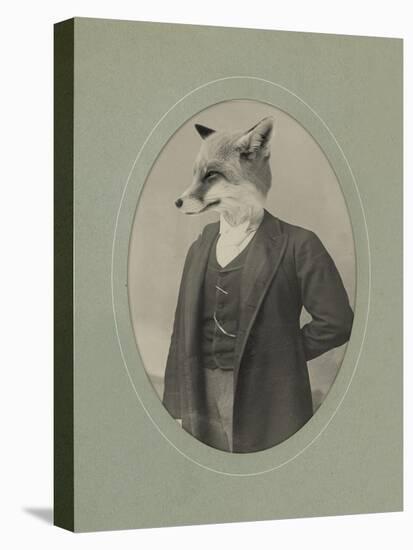 Gentleman Fox-J Hovenstine Studios-Premier Image Canvas