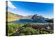 Gentoo penguin colony in the bay of Godthul, South Georgia, Antarctica, Polar Regions-Michael Runkel-Premier Image Canvas