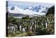 Gentoo penguin (Pygoscelis papua) colony, Prion Island, South Georgia, Antarctica, Polar Regions-Michael Runkel-Premier Image Canvas