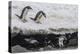 Gentoo Penguins (Pygoscelis Papua) Leaping into the Sea with Adelie Penguin at Booth Island-Michael Nolan-Premier Image Canvas