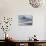 Gentoo Penguins-Doug Allan-Premier Image Canvas displayed on a wall