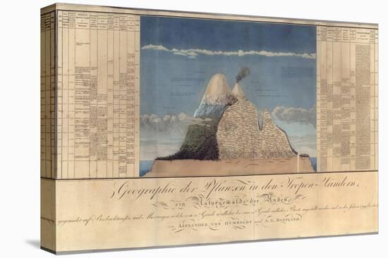 Geography of Plants in Tropical Countries, a Study of the Andes, Drawn by Schoenberger and…-Friedrich Alexander, Baron Von Humboldt-Premier Image Canvas