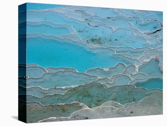 Geological Formations of the Hot Springs, Pammukkale, Turkey-Darrell Gulin-Premier Image Canvas