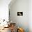 Geometer moth-Micro Discovery-Premier Image Canvas displayed on a wall