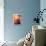 Geometric Love Orange-null-Stretched Canvas displayed on a wall