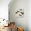 Geometric Pattern with Floating White Swans-incomible-Stretched Canvas displayed on a wall