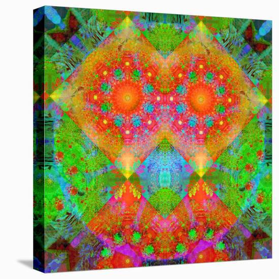 Geometrical Ornament of Flower Photos-Alaya Gadeh-Premier Image Canvas