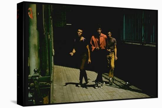 George Chakiris as Bernardo Leads Two Others Into Turf of Rival Gang in West Side Story-Gjon Mili-Premier Image Canvas