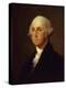 George Washington, C.1820 (Oil on Panel)-Gilbert Stuart-Premier Image Canvas