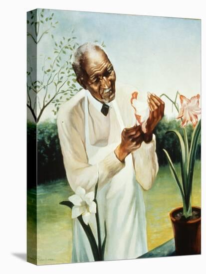 George Washington Carver-null-Premier Image Canvas