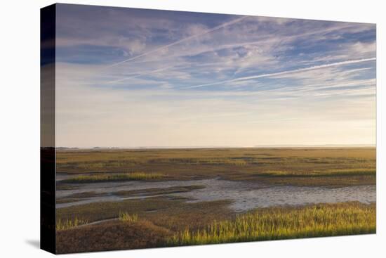 Georgia, Brunswick, Dawn View Along the Brunswick River Marshes-Walter Bibikow-Premier Image Canvas