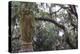 Georgia, Savannah, Bonaventure Cemetery-Walter Bibikow-Premier Image Canvas