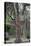 Georgia, Savannah, Bonaventure Cemetery-Walter Bibikow-Premier Image Canvas