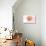 Georgia - Scallop Shell - Coral - Coastal Icon-Lantern Press-Stretched Canvas displayed on a wall