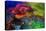 Geothermal Color-Howard Ruby-Premier Image Canvas