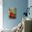 Geranium Flowers (Pelargonium Sp.)-Chris Martin-Bahr-Premier Image Canvas displayed on a wall