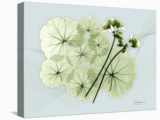 Geranium L48-Albert Koetsier-Stretched Canvas