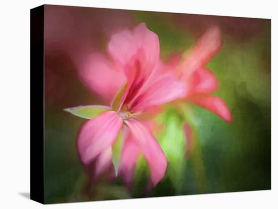 Geranium-Janet Slater-Premier Image Canvas