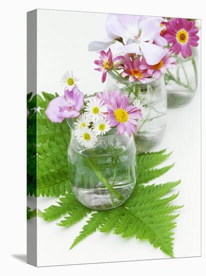 Geraniums and Chrysanthemums in Jars with Fern-Linda Burgess-Premier Image Canvas