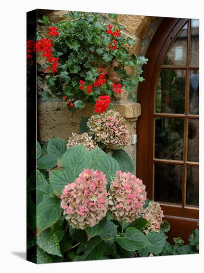 Geraniums and Hydrangea by Doorway, Chateau de Cercy, Burgundy, France-Lisa S. Engelbrecht-Premier Image Canvas