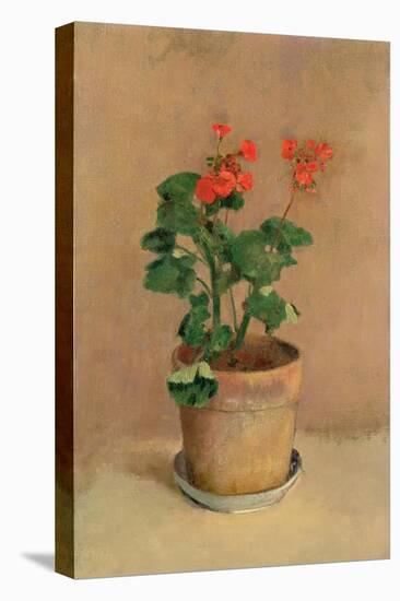 Geraniums in a Pot, c.1905-Odilon Redon-Premier Image Canvas